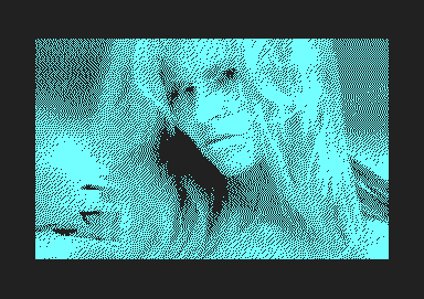 Dona 200.png